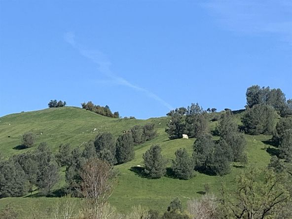 9800 Victoria, Jamestown, CA 95327